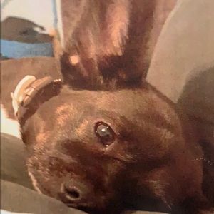 Meet your Posher, Tanya